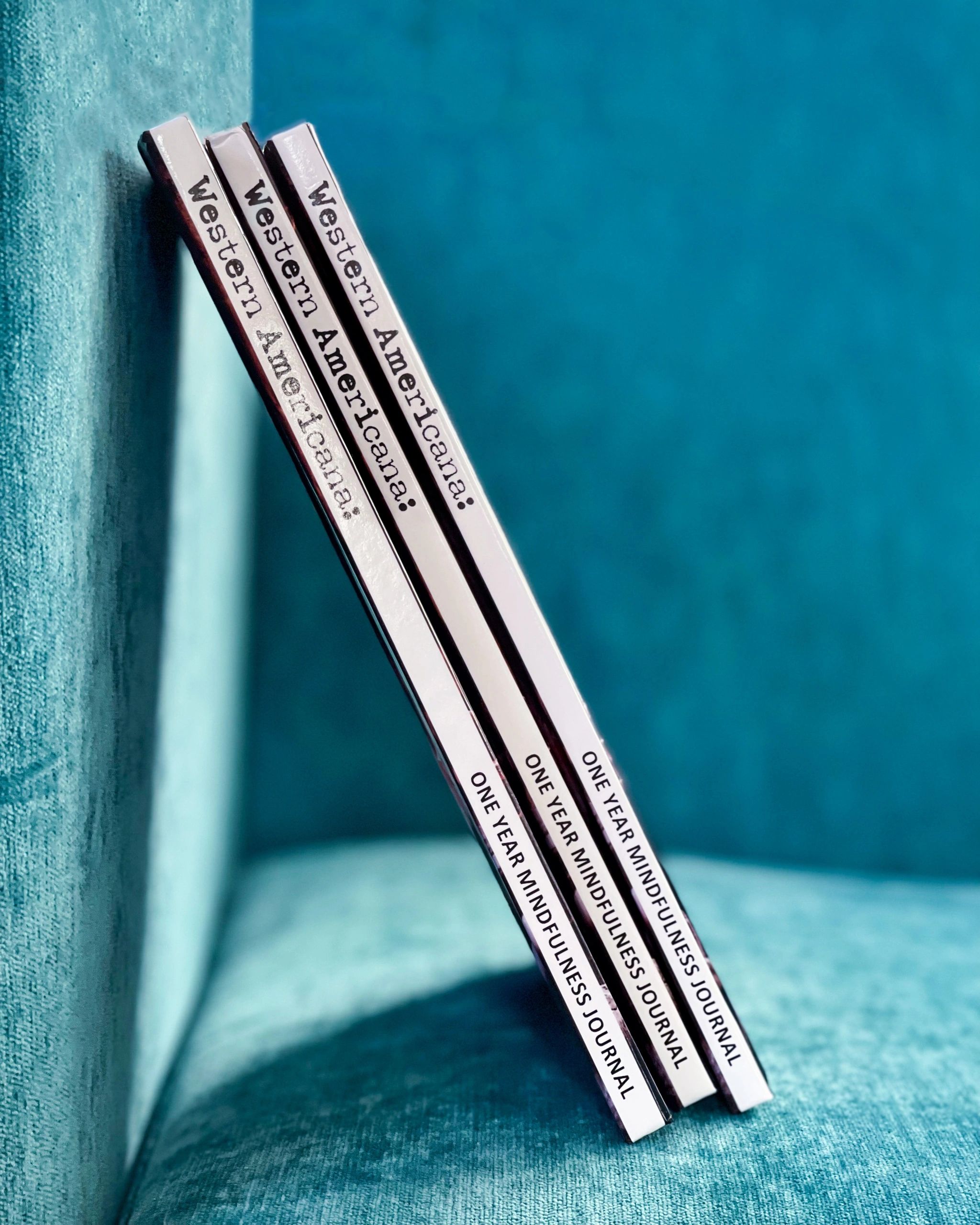 Mindfulness Journal