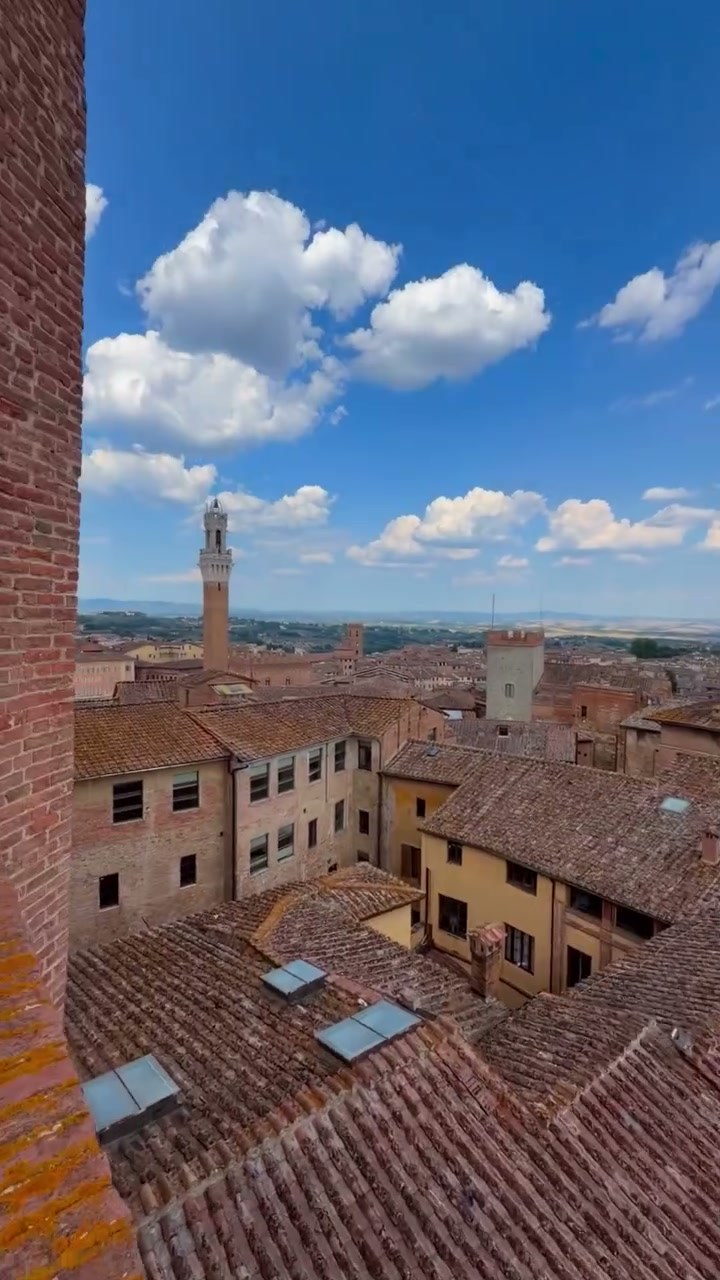Siena's terracotta rooftops with the Torre del Mangia in the distance, seen from the Facciatone