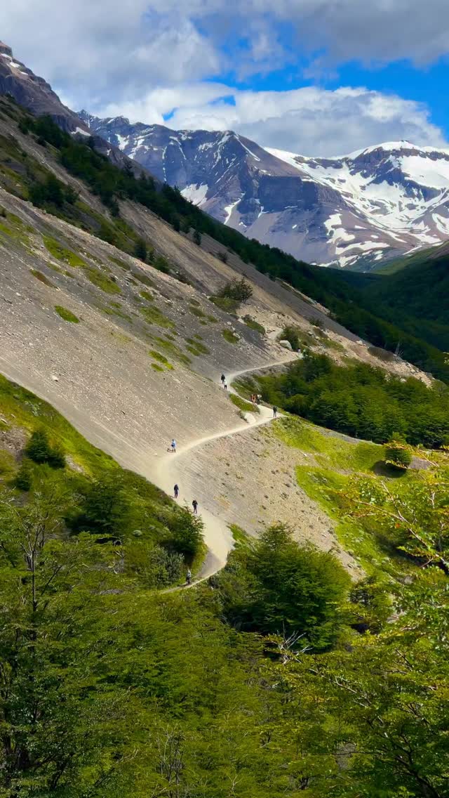 people hiking on a winding mountain trail with snow-capped peaks and green forest