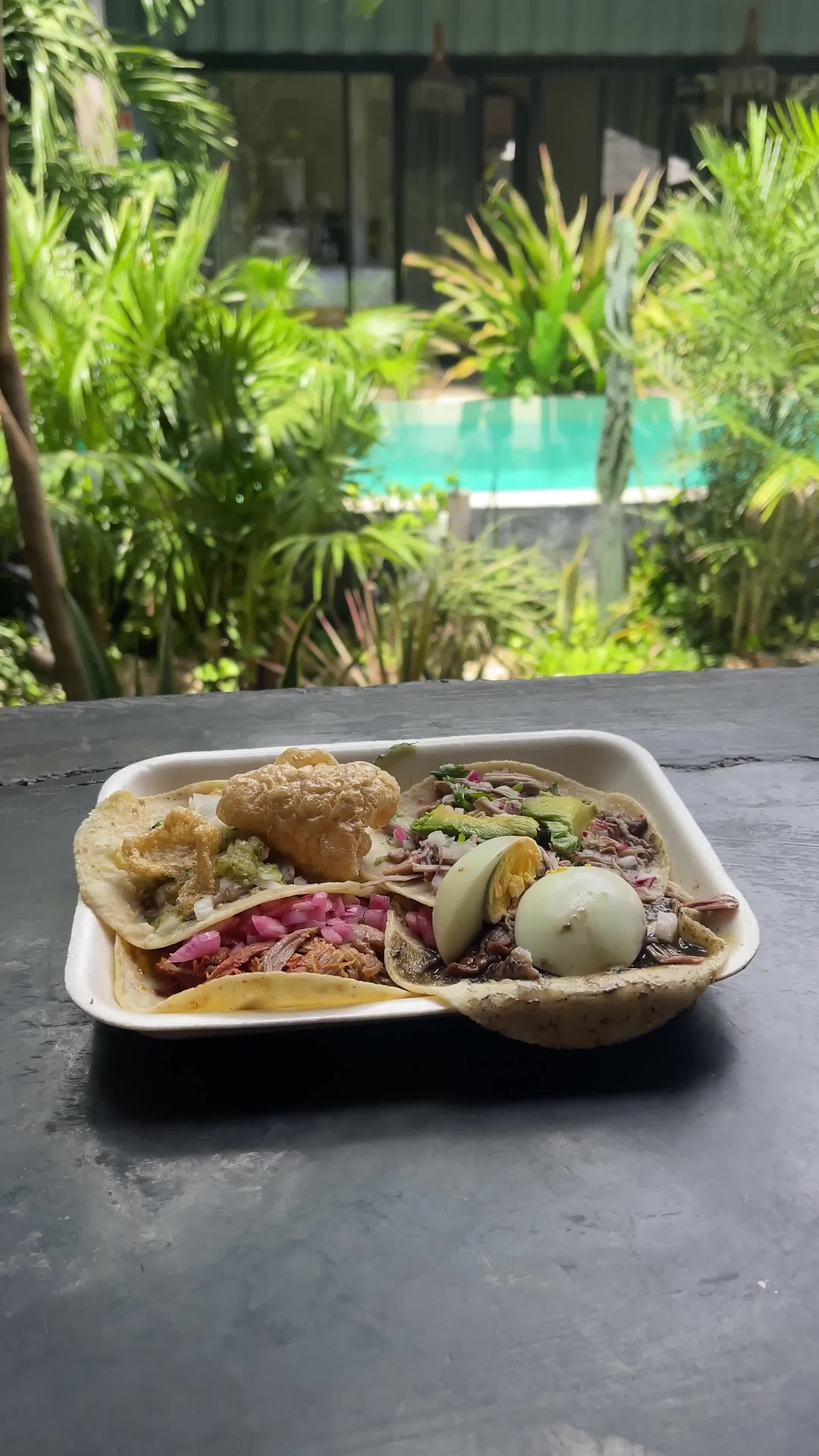 close-up of three tacos on a plate with pool and greenery background