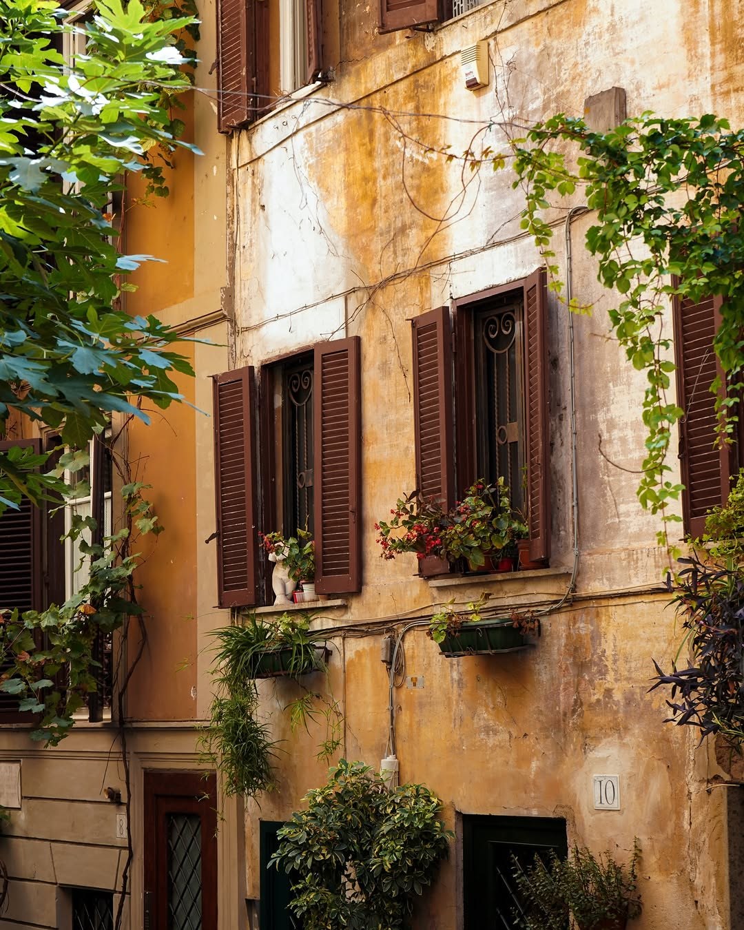 An ochre building with green shutters and climbing plants on a Rome side street