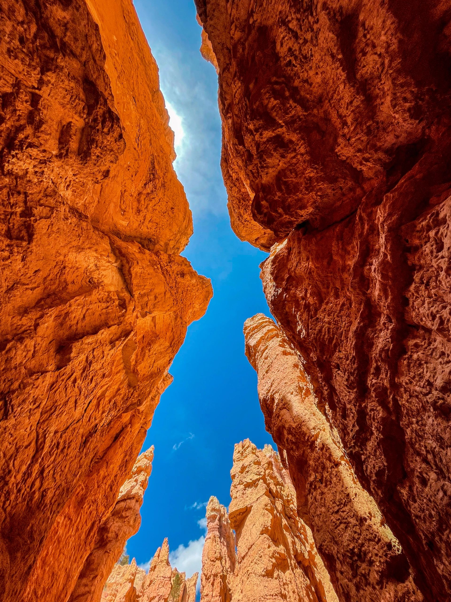 Cañón con formaciones rocosas rojizas y cielo azul.