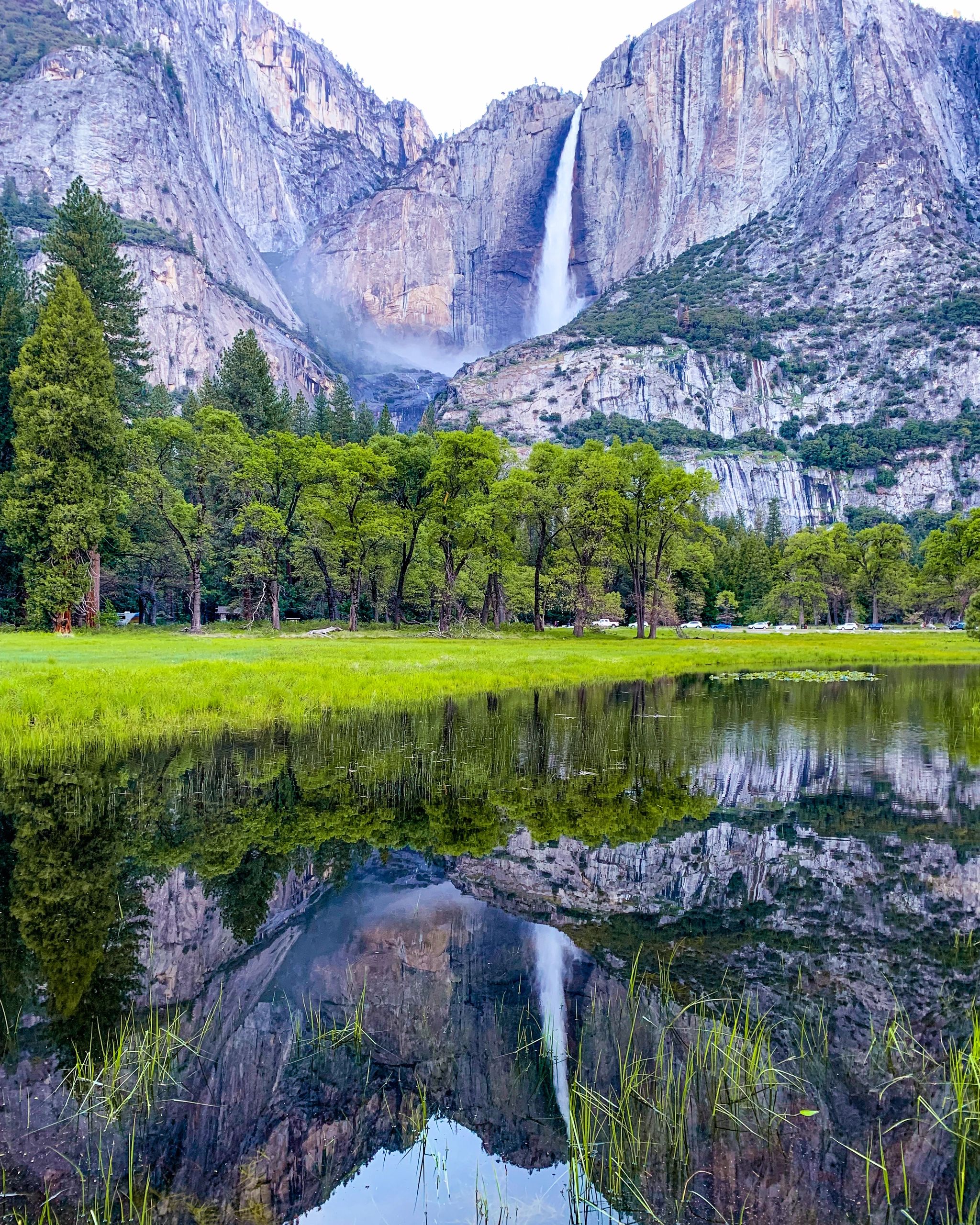 Lake with a perfect reflection of Yosemite Falls, Lush green trees and plants and purple mountains.