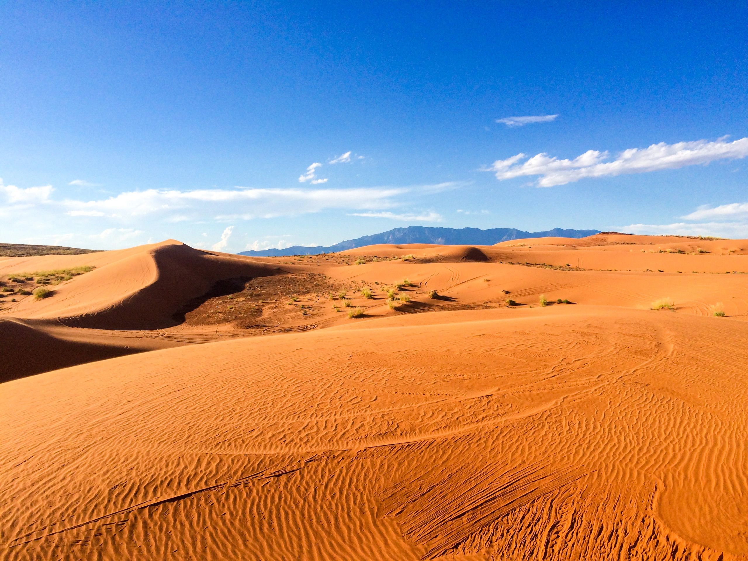 Red Sand Dunes at Sand Hallow State Park