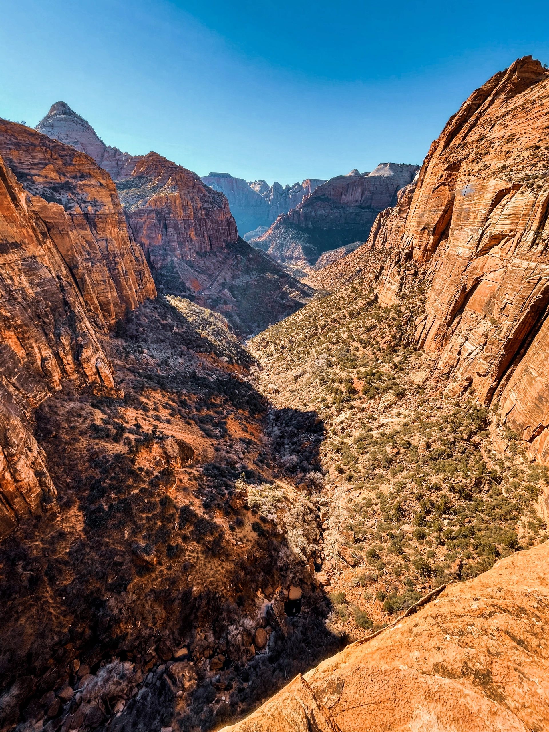 View from Zion Canyon Overlook hike
