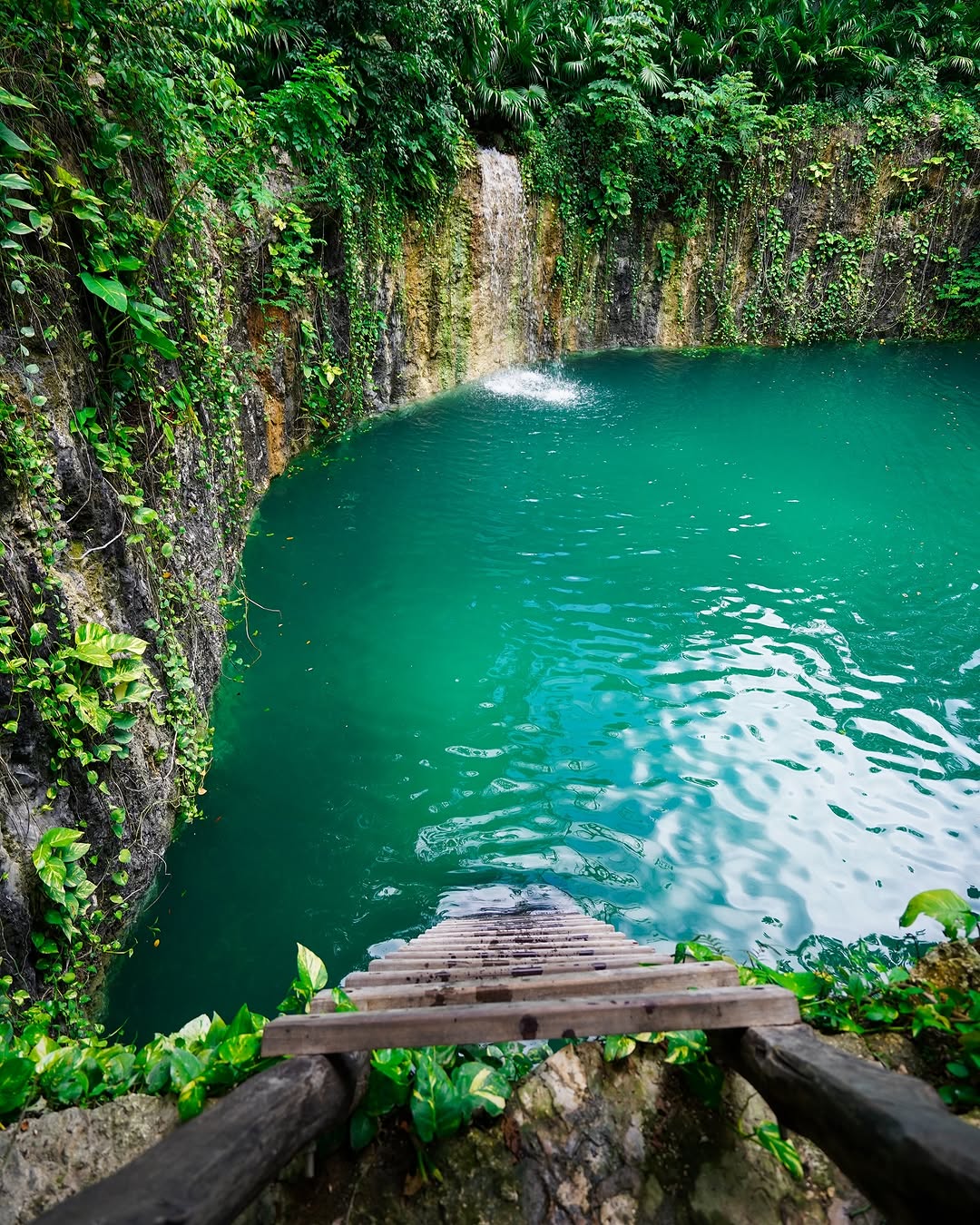 ladder leading down to a blue-green natural pool with a small waterfall surrounded by dense greenery