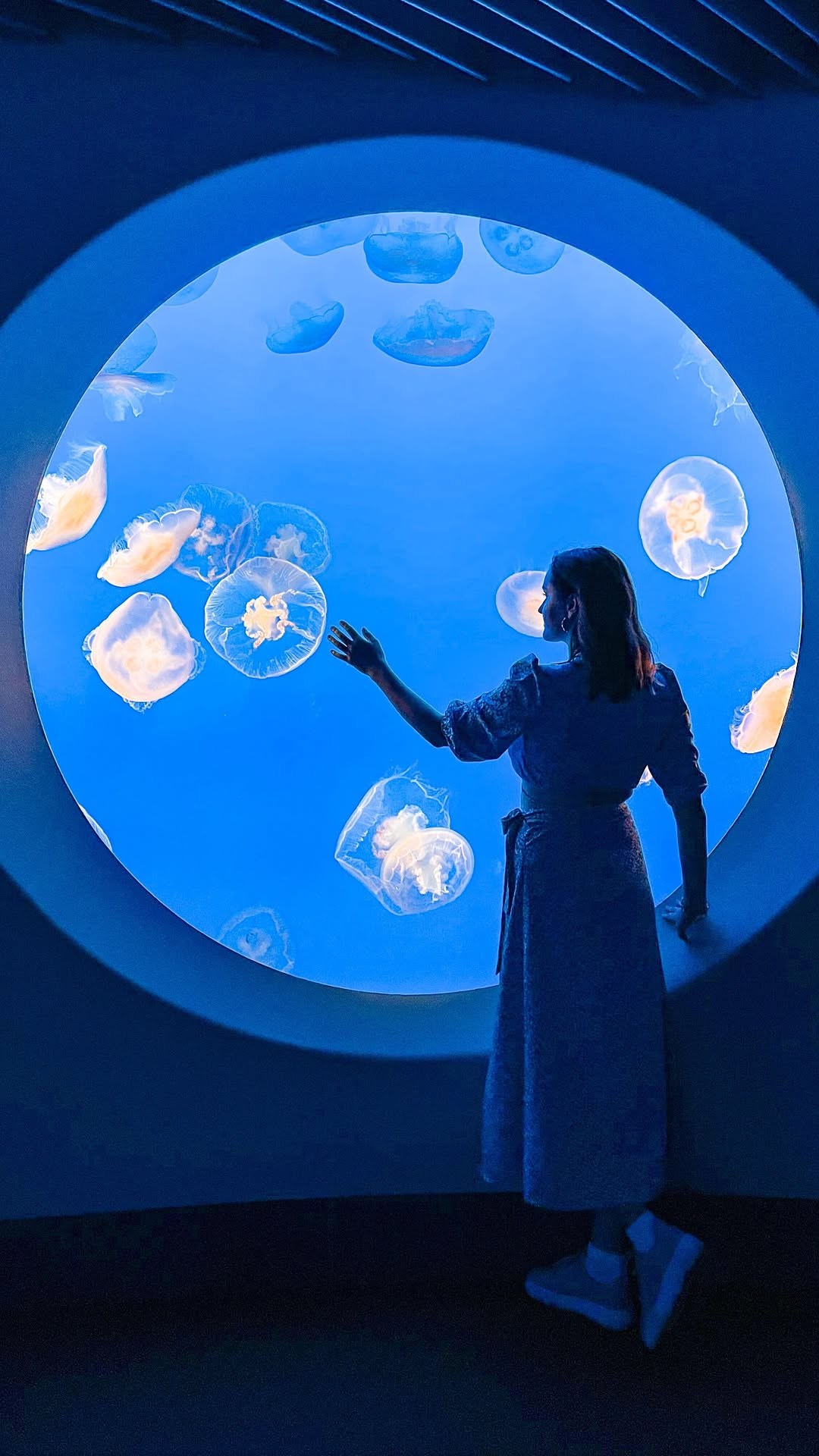 Polina silhouetted against a round jellyfish tank at the Monterey Bay Aquarium