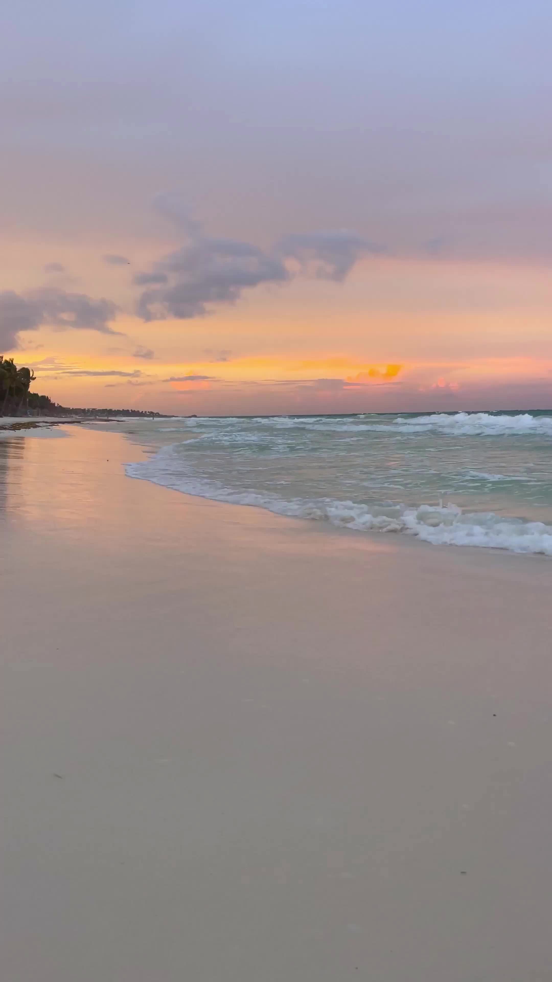 gentle ocean waves washing onto a sandy beach at sunset with palm trees in the distance