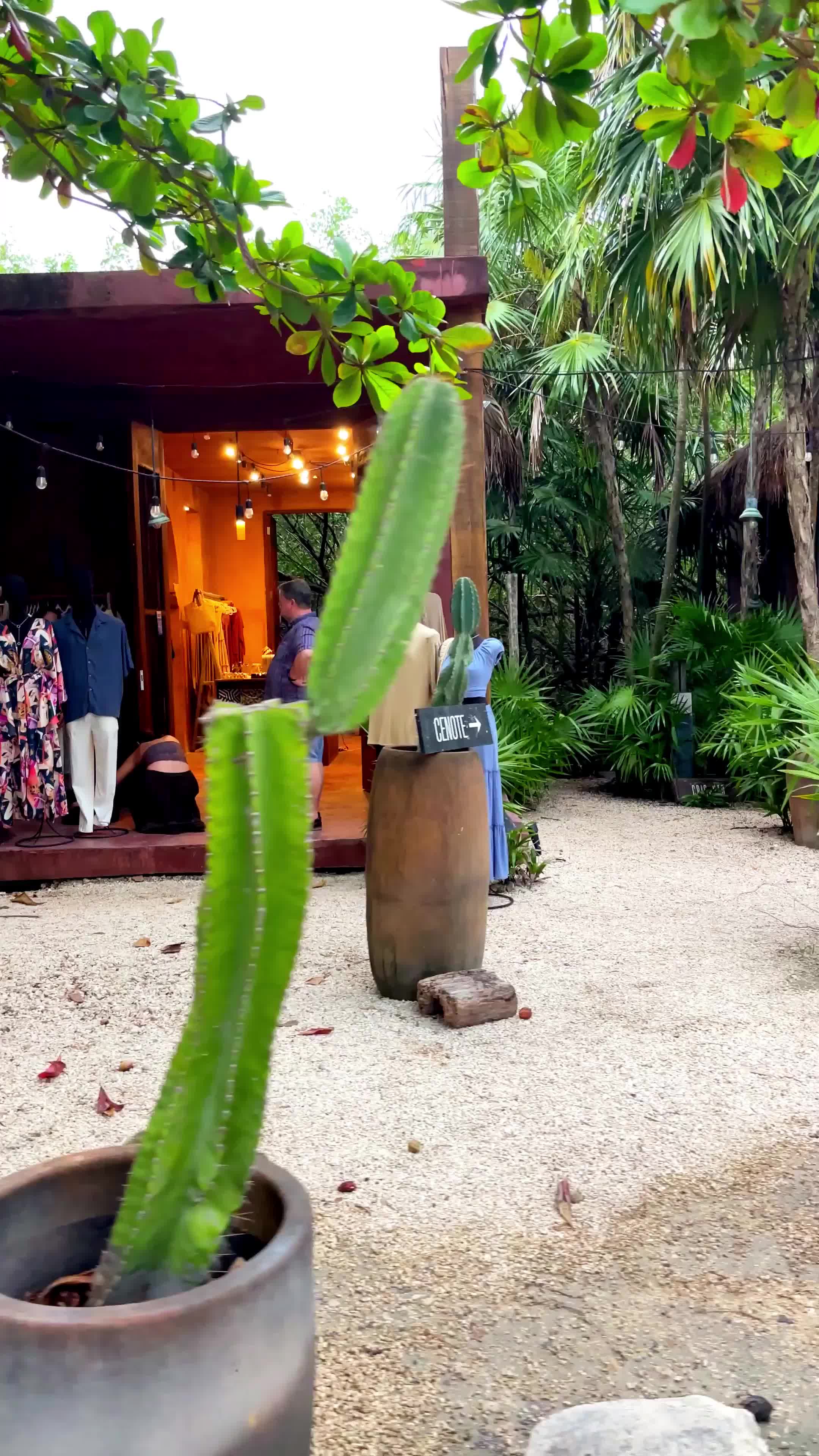 small outdoor market stall with clothing and people near dense greenery and potted cactus plants