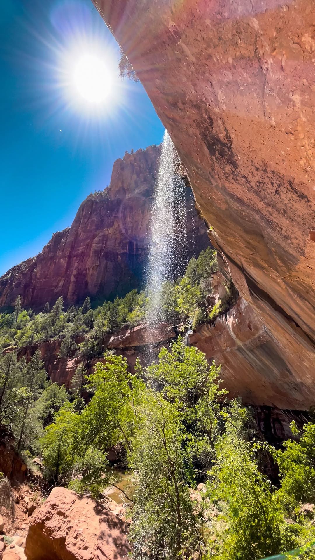 The lush trail leading to Emerald Pools, shaded by cliffs and greenery