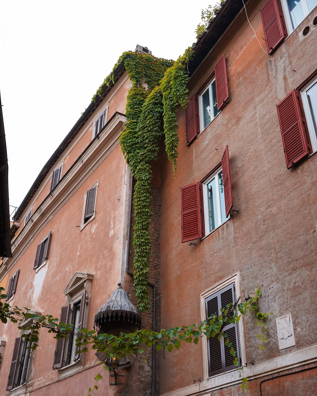 A terracotta building covered in ivy in Rome