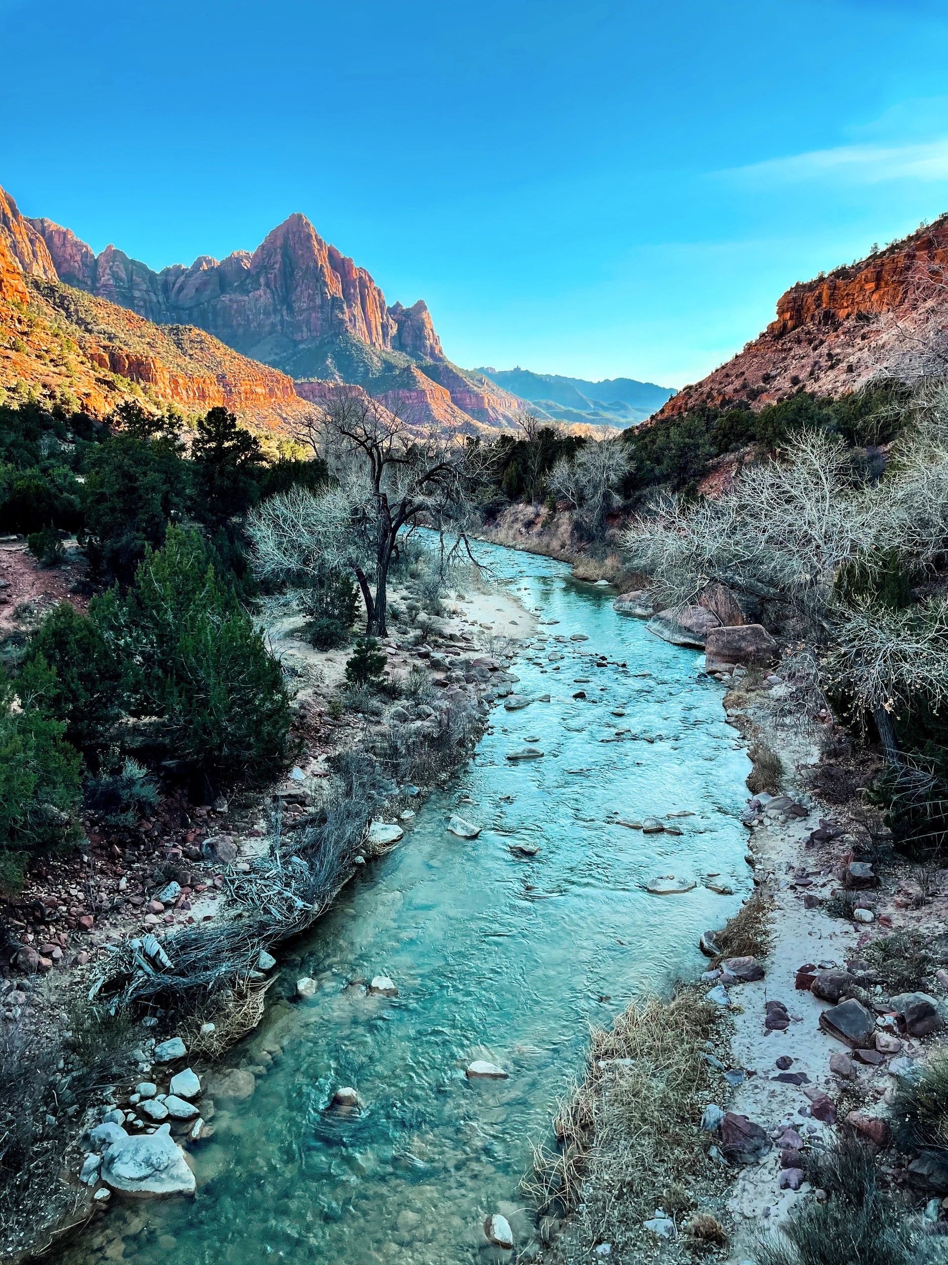 View on Watchman Mountain in Zion National Park