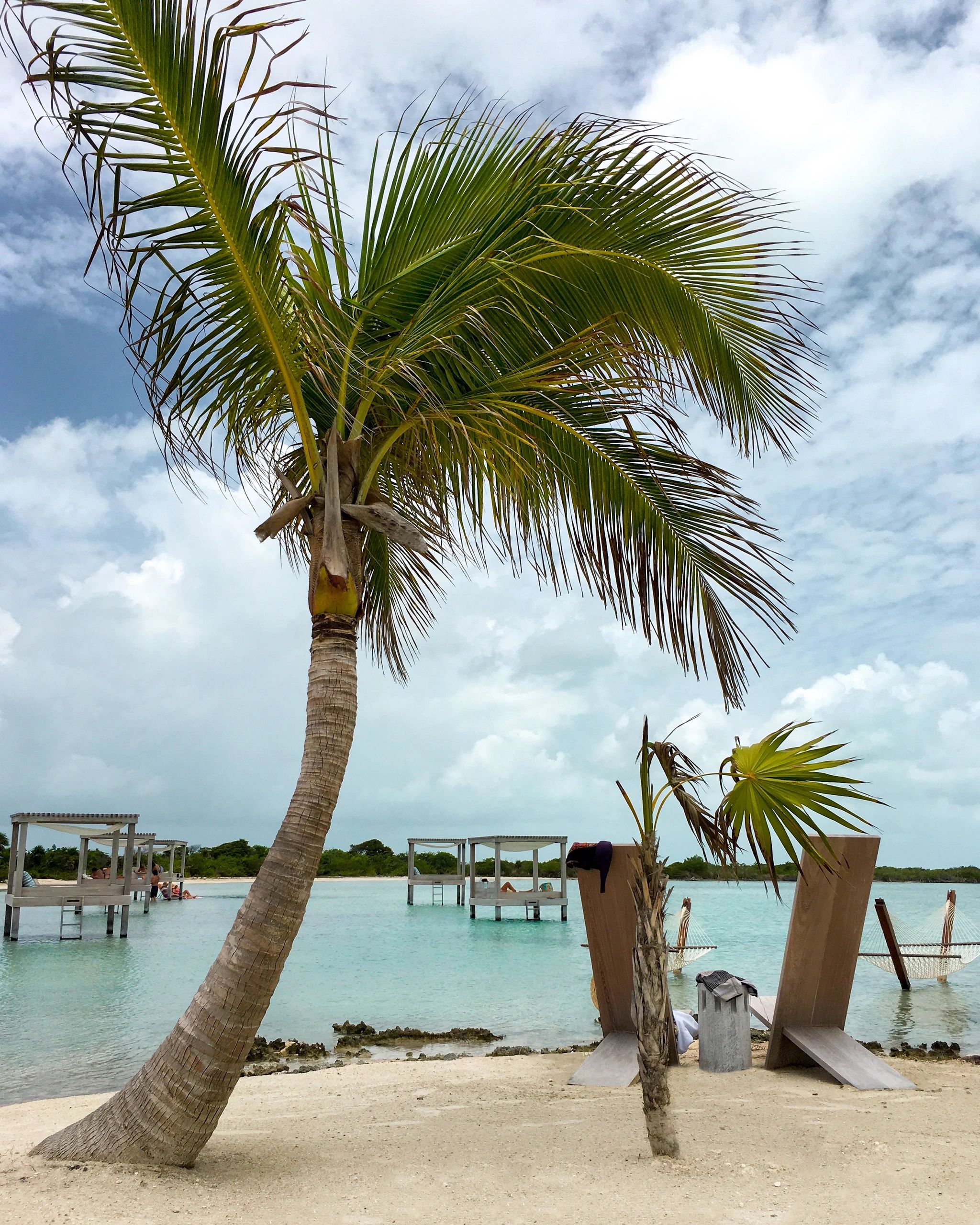 View on a palm tree, hammocks, ocean and white sand beach in Belize