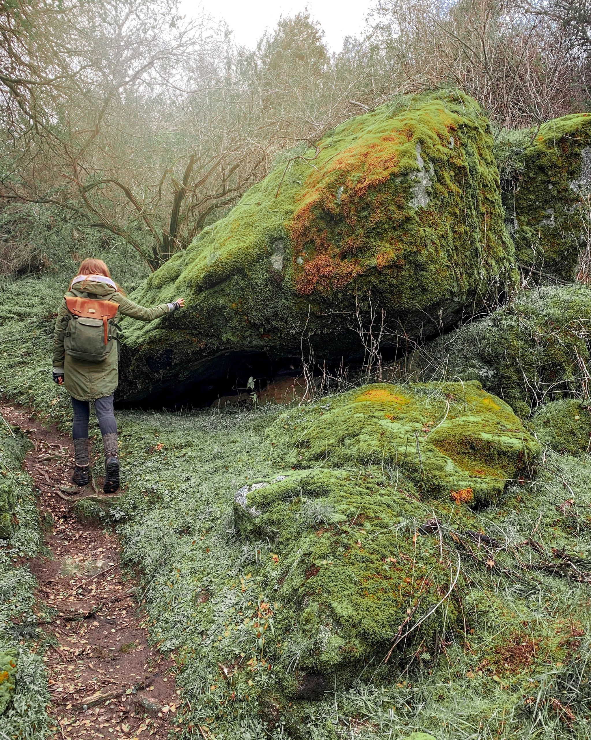 A hiker walking through a forest trail. Green plants and orange moss.