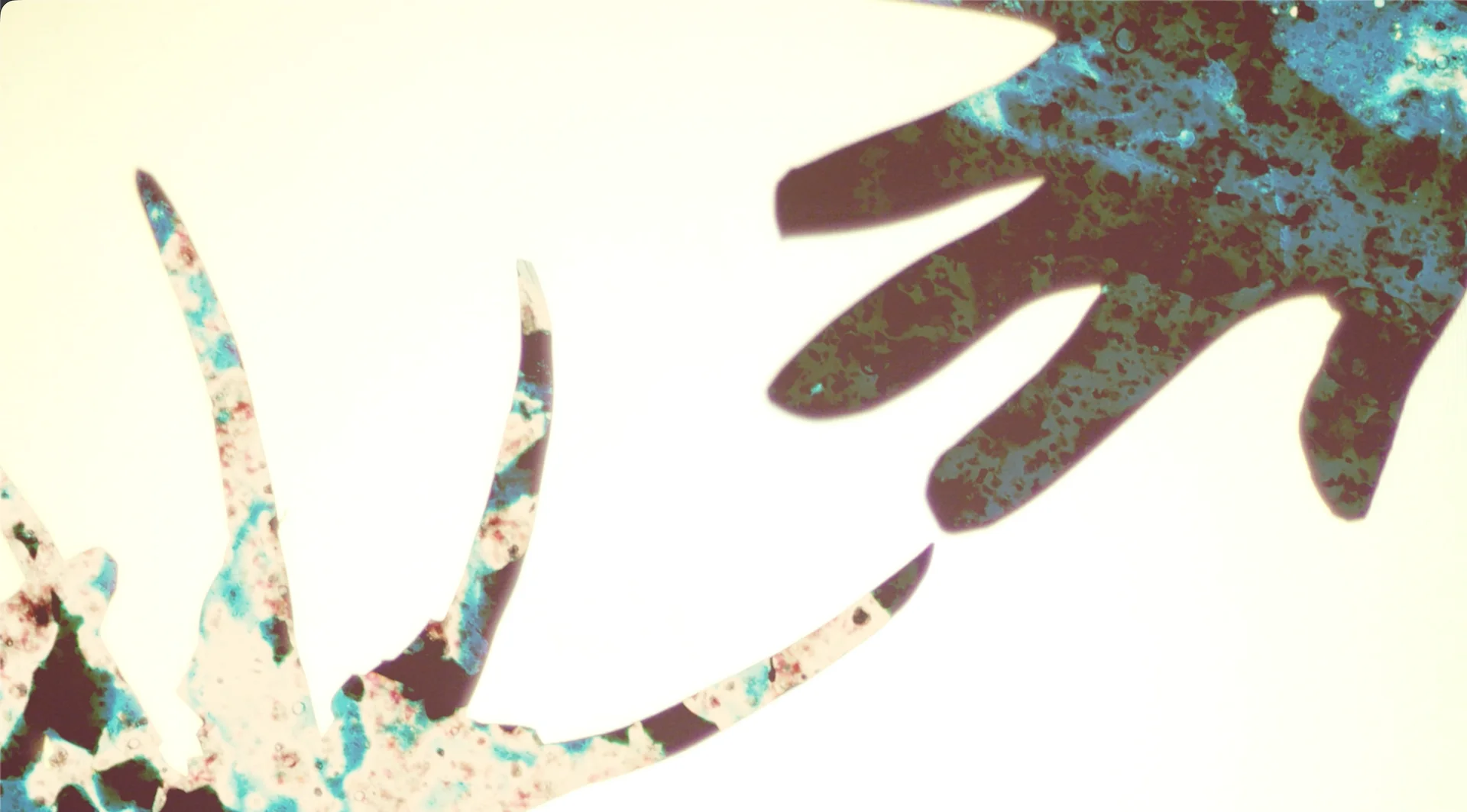 Still from MONSTROUS ME: the outline of a hand and arm filled with a red and blue mottled texture on a white background